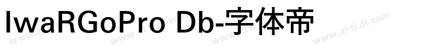 IwaRGoPro Db字体转换